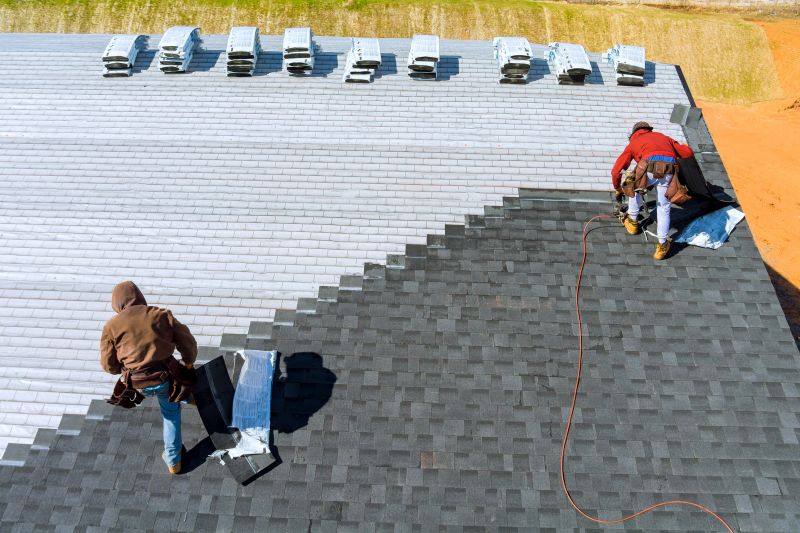 Expert Roof Repair Technician